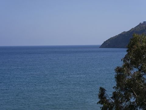 Shots from the Beach